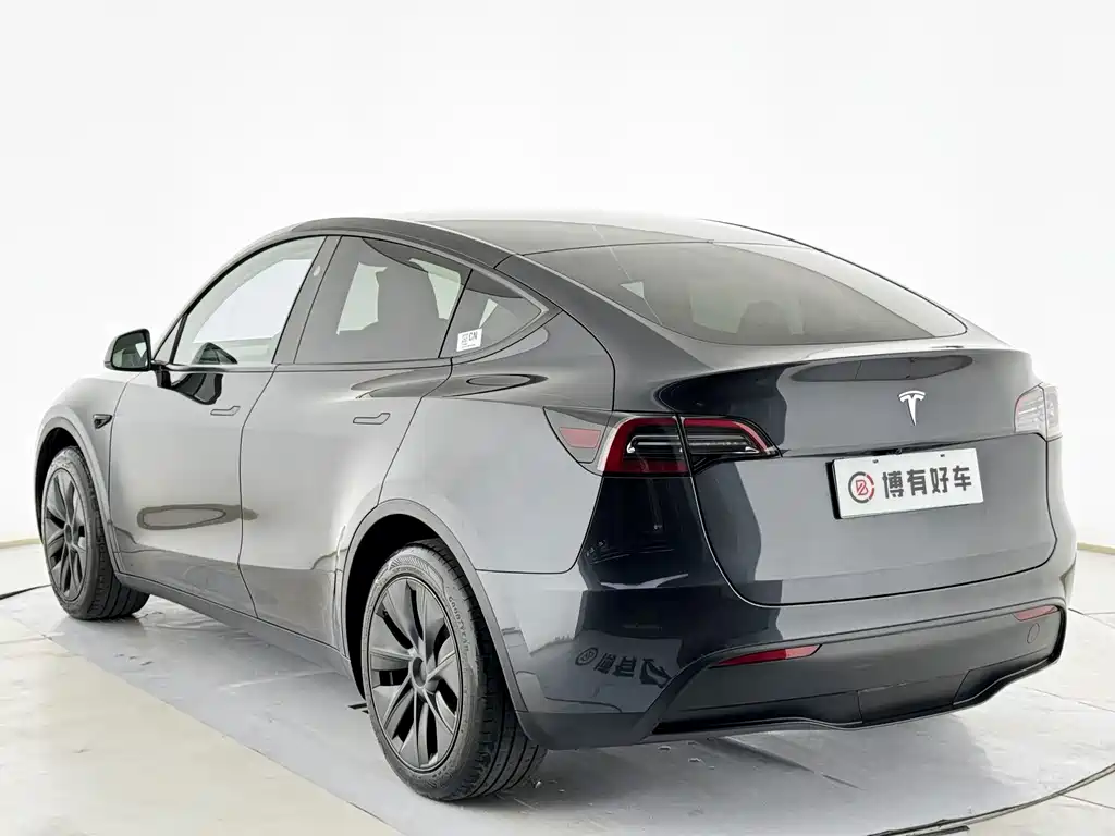 Tesla Model Y — миниатюра 15