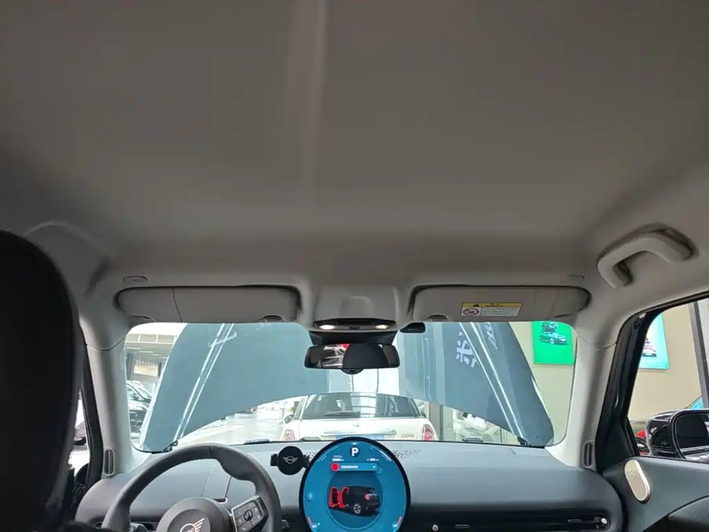 MINI MINI ACEMAN EV — миниатюра 18