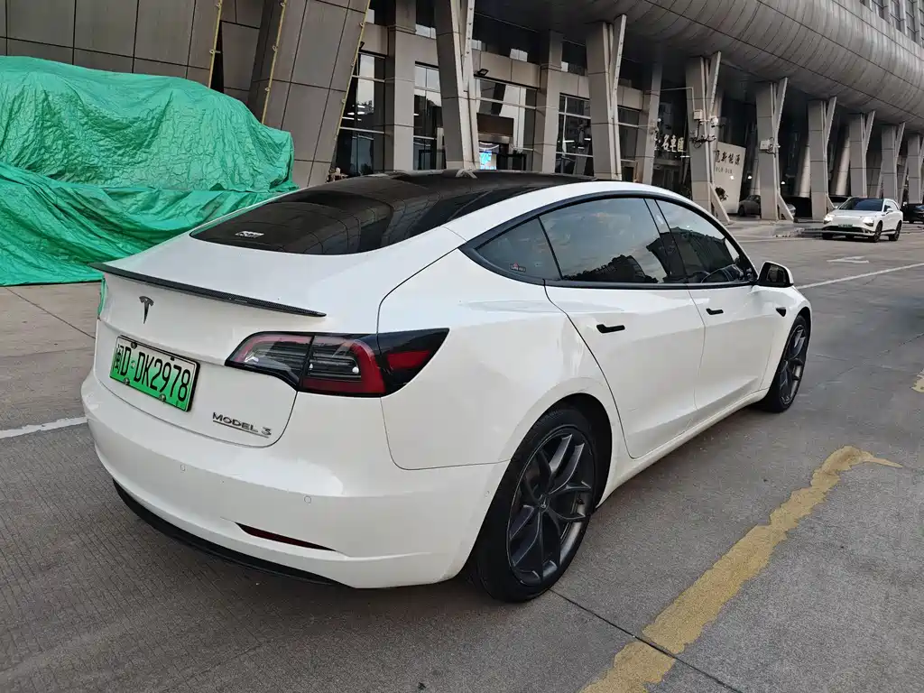 Tesla Model 3 2021 Performance 3D6
