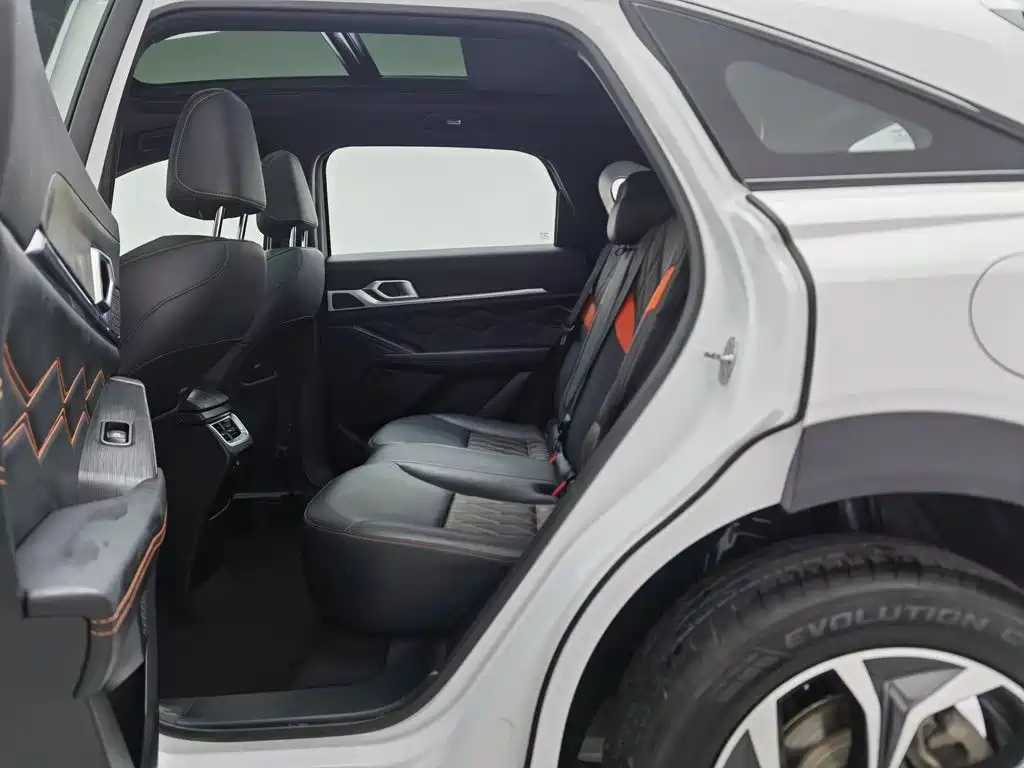 Haval Shenshou — миниатюра 15