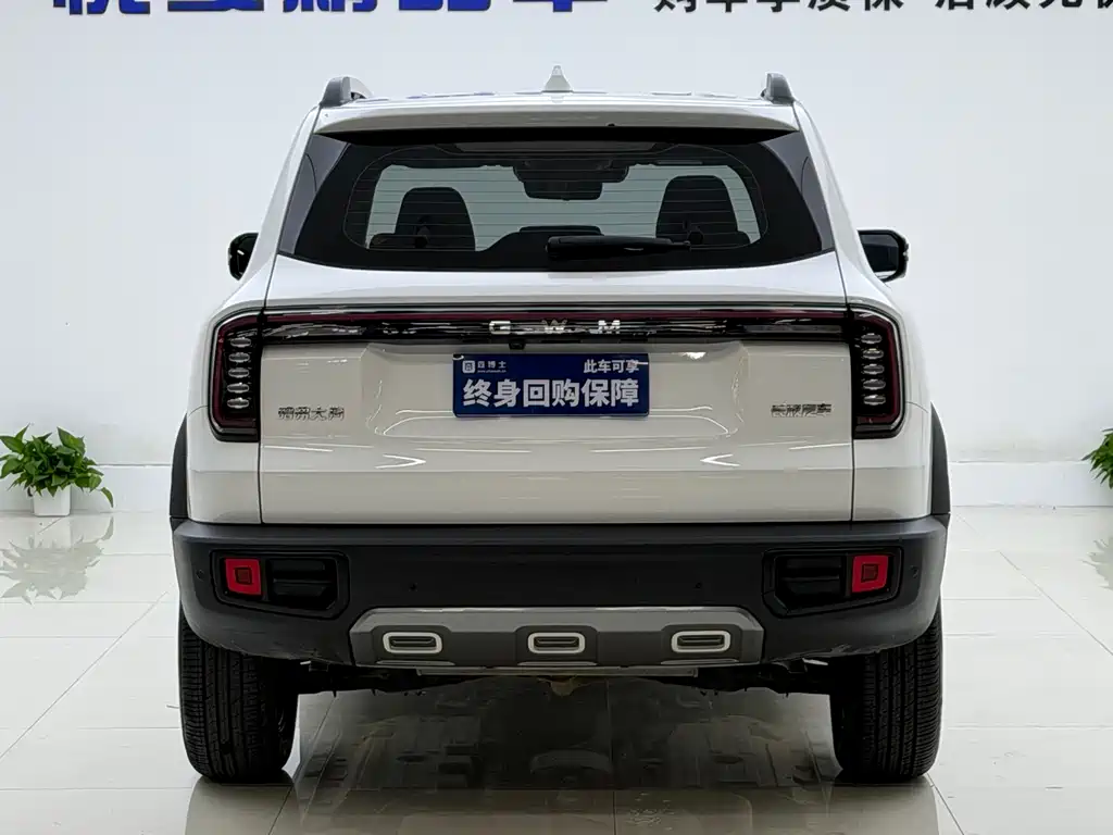 Haval Big Dog — миниатюра 8
