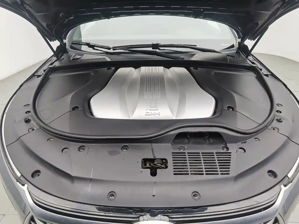 BYD Tang New Energy — миниатюра 6