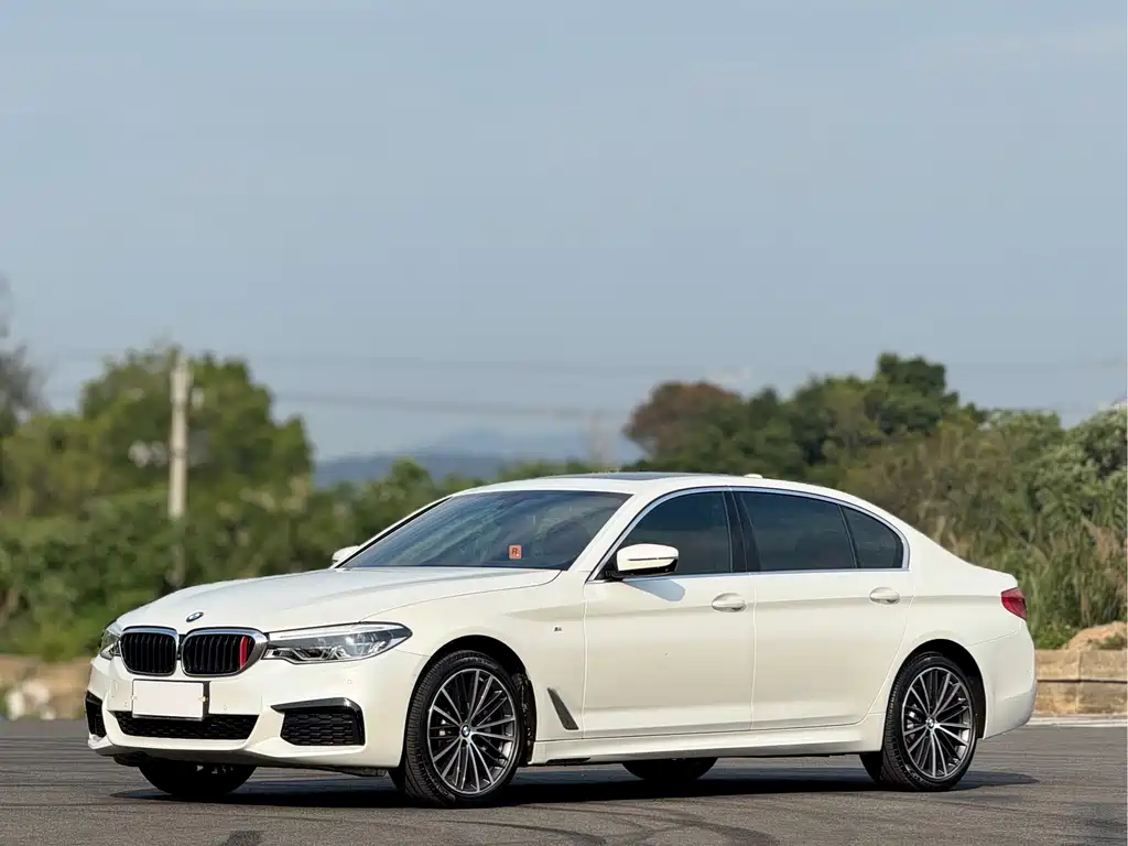 Купить BMW 5 Series