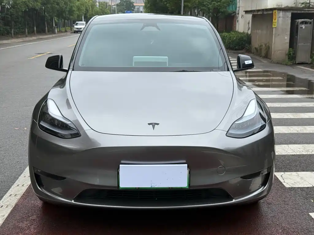 Tesla Model Y — миниатюра 2
