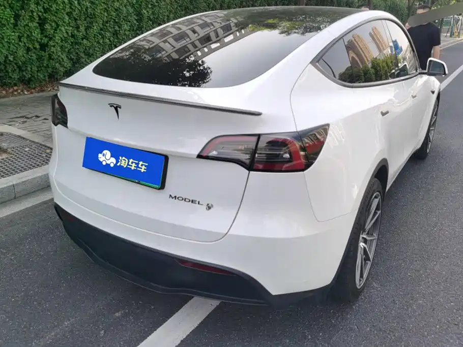 Tesla Model Y — миниатюра 3