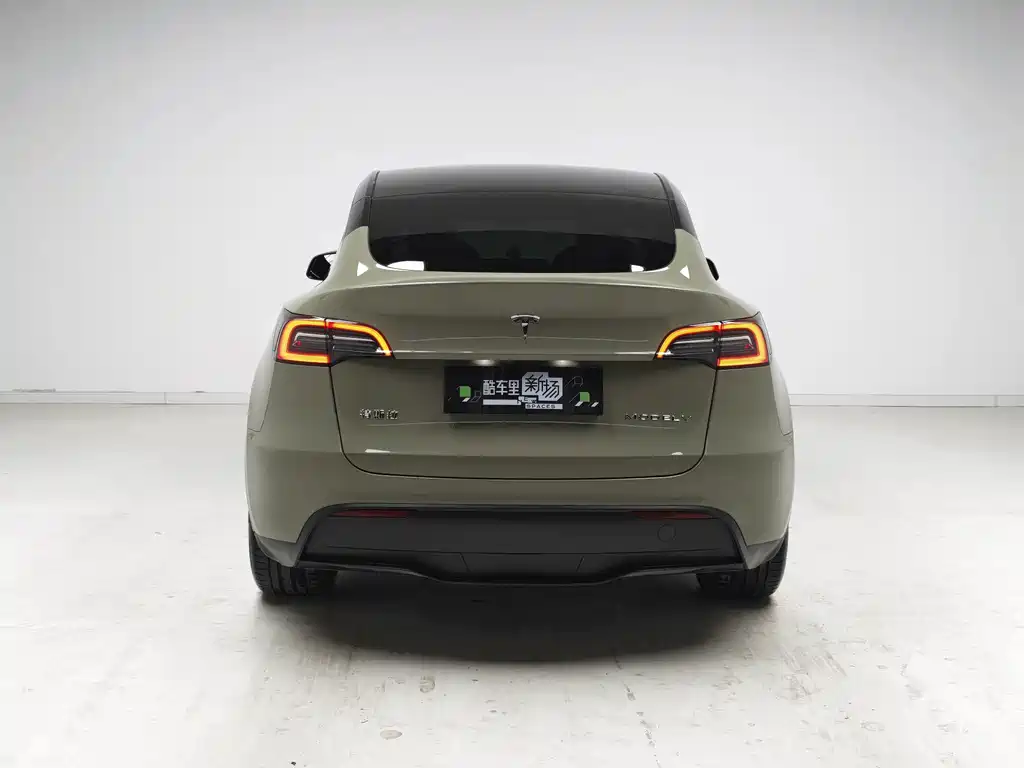 Tesla Model Y — миниатюра 5
