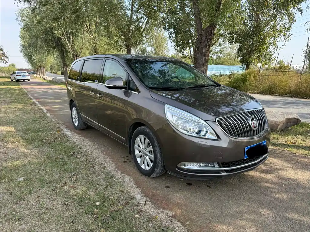 Buick GL8 — миниатюра 2