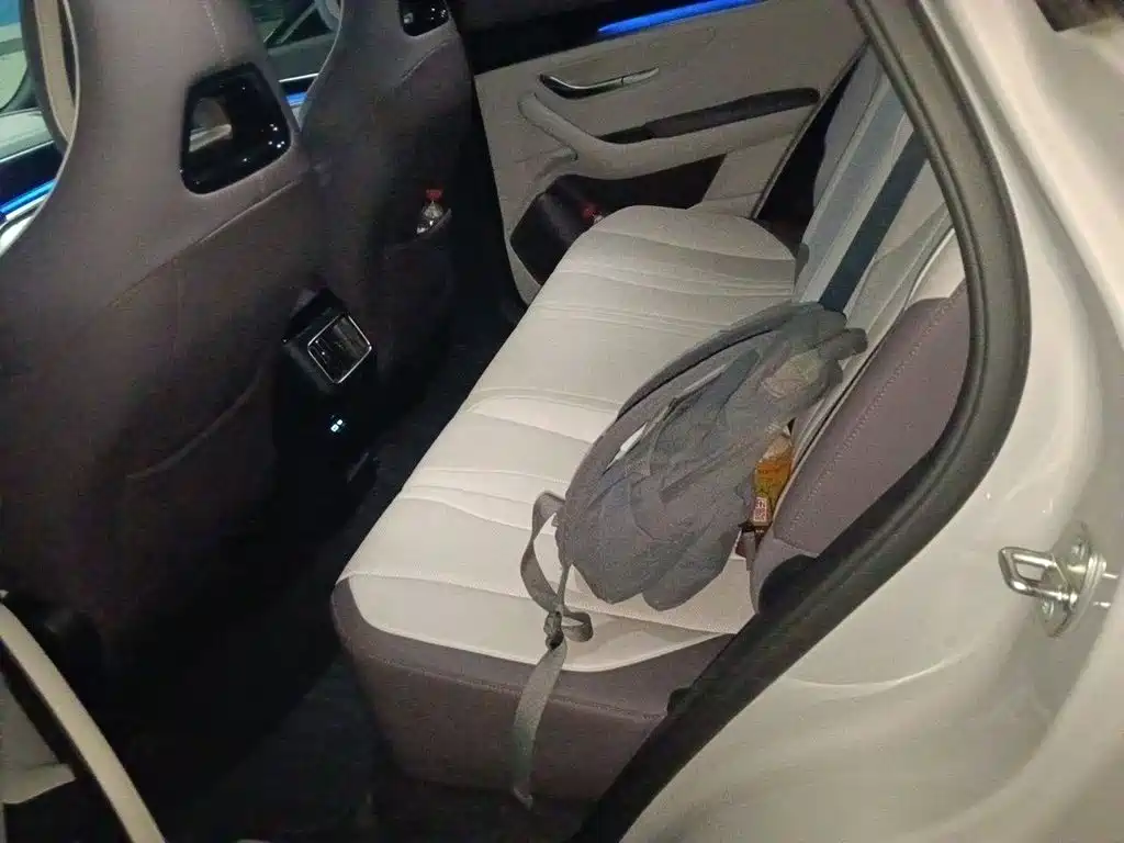 BYD PLUS New Energy — миниатюра 13