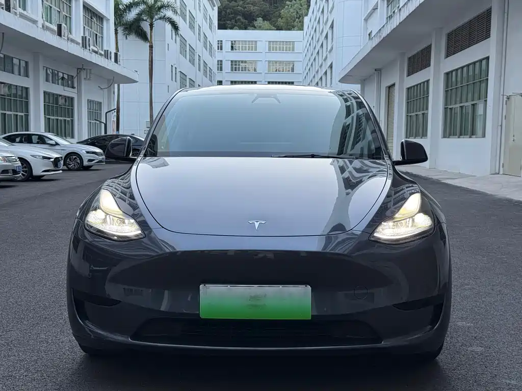 Tesla Model Y — миниатюра 2