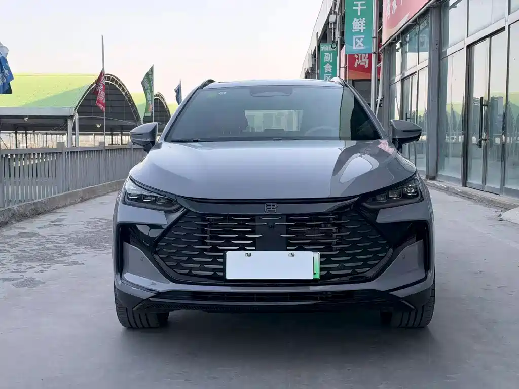 BYD Tang New Energy — миниатюра 2