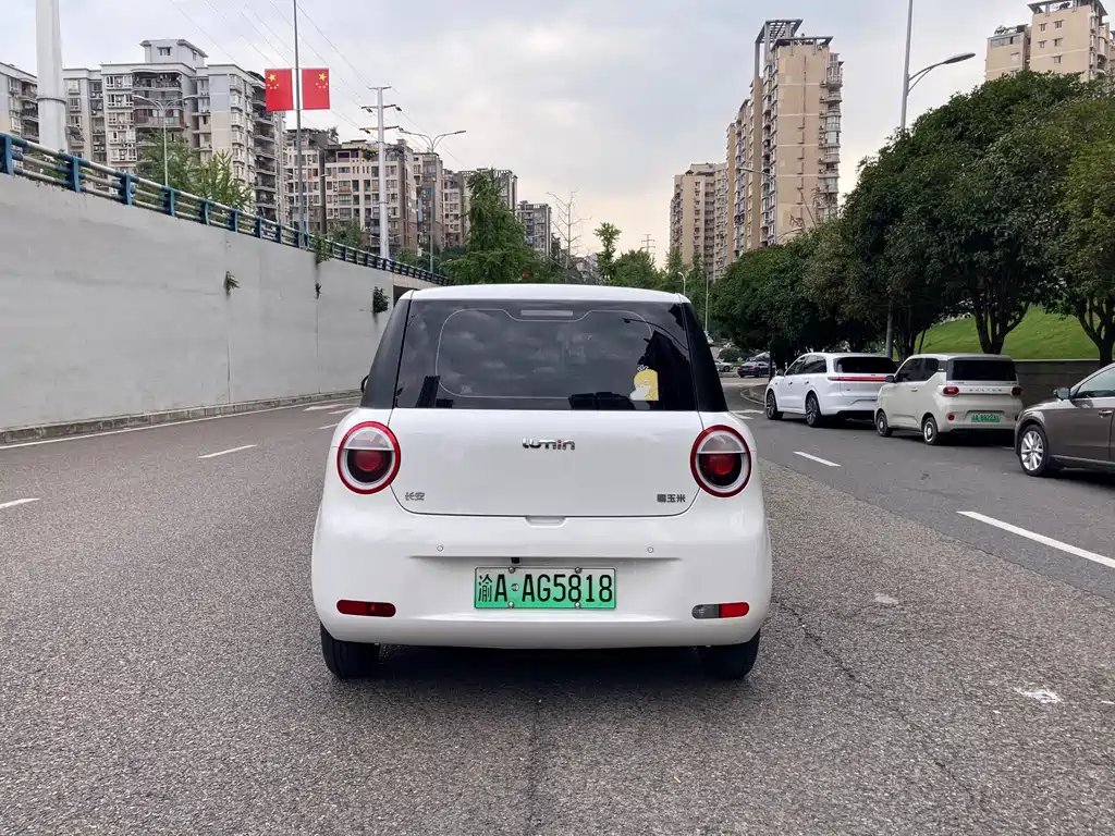 Qiyuan Lumin — миниатюра 10