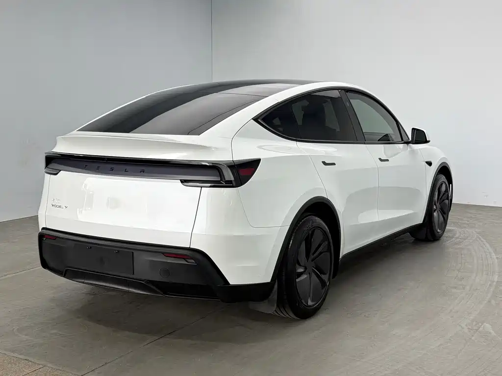 Tesla Model Y — миниатюра 4