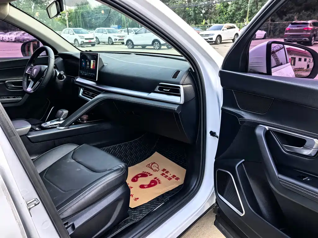 BYD Pro — миниатюра 13