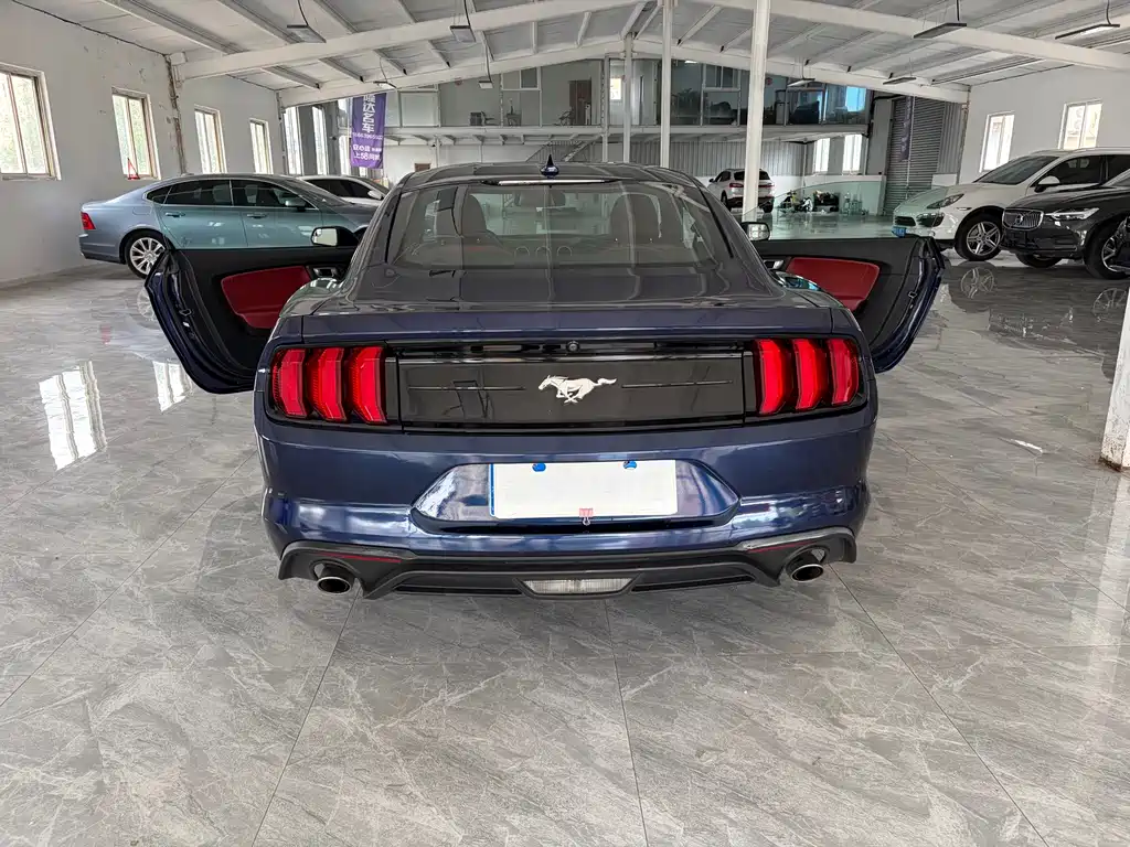 Ford Mustang — миниатюра 10