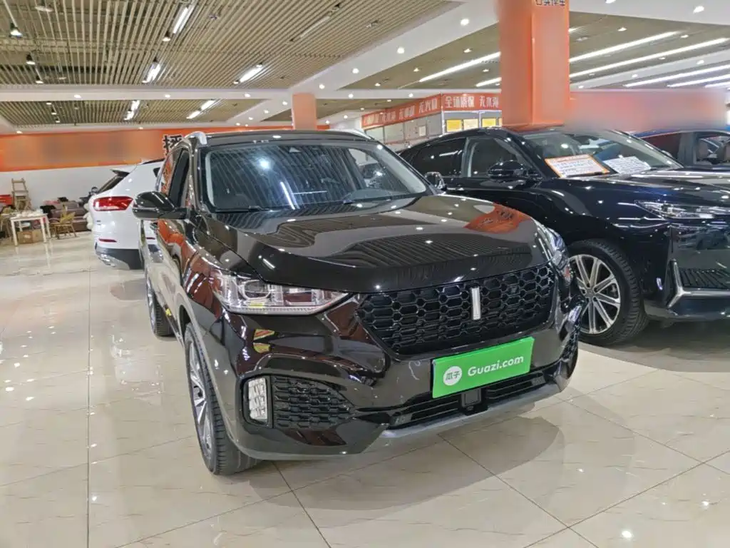 Wey Wey VV6 — миниатюра 4