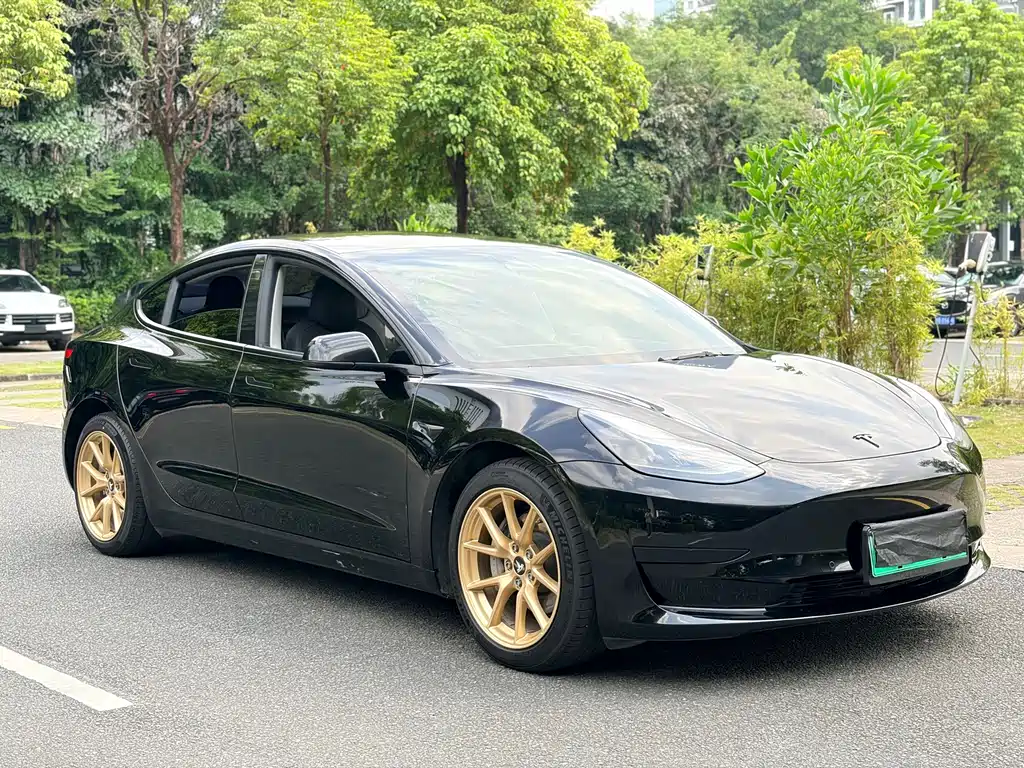 Tesla Model 3 — миниатюра 3