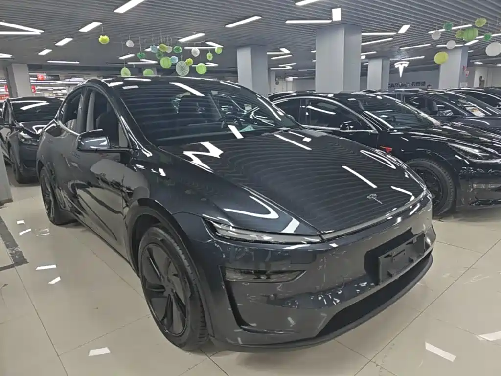 Tesla Model Y — миниатюра 4