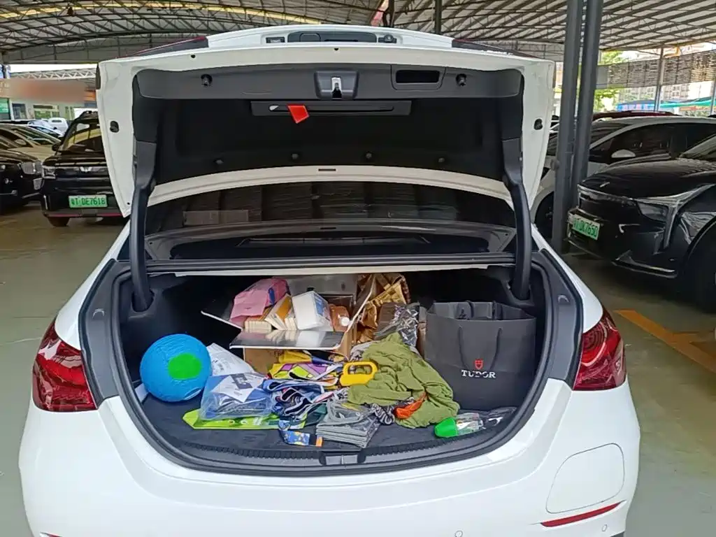 Mercedes-Benz C-Class New Energy — миниатюра 19