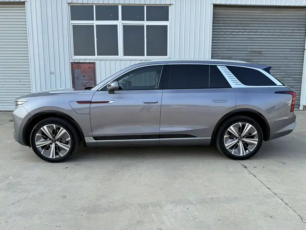 Hongqi E-HS9 2021 460km мест