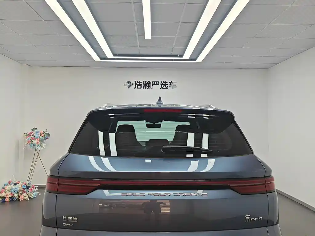 BYD Pro New Energy — миниатюра 5