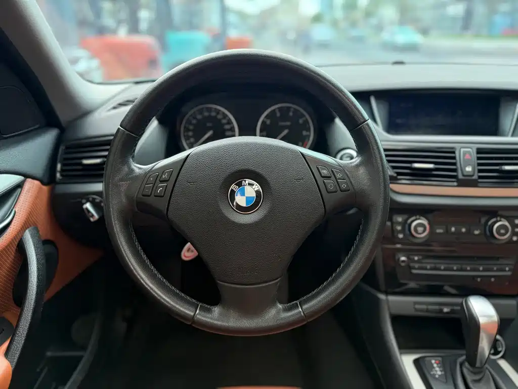 BMW X1 (Import) sDrive18i Luxury Type, фото 10