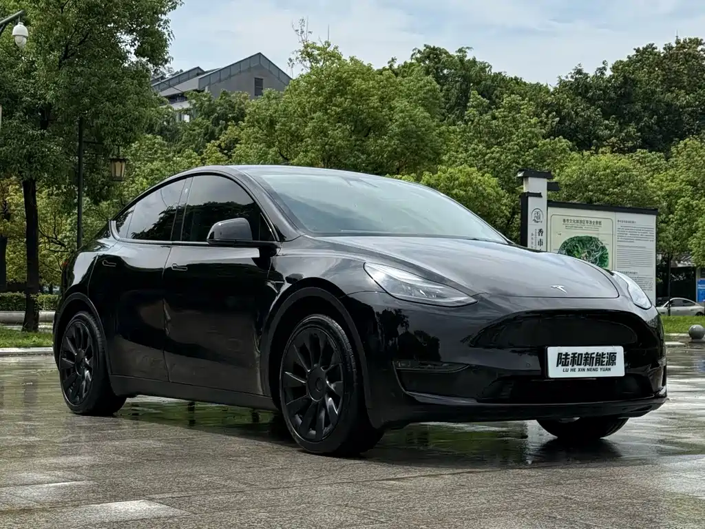 Tesla Model Y — миниатюра 5