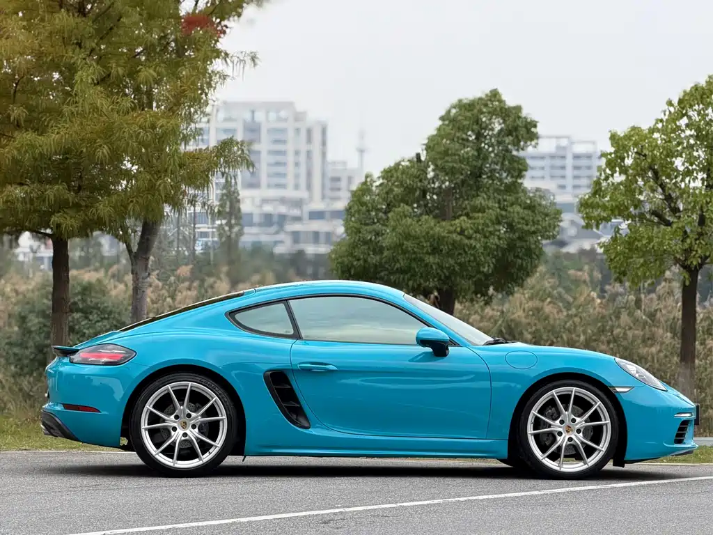 Porsche 718 — миниатюра 13