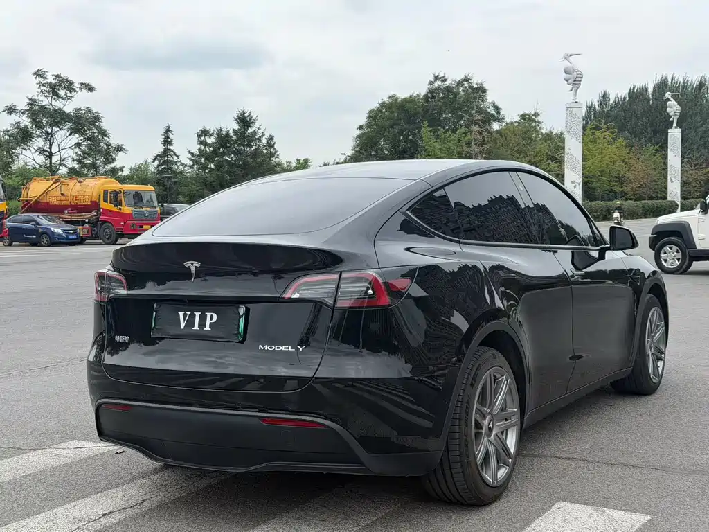 Tesla Model Y — миниатюра 5
