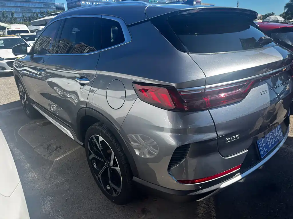 BYD PLUS — миниатюра 20