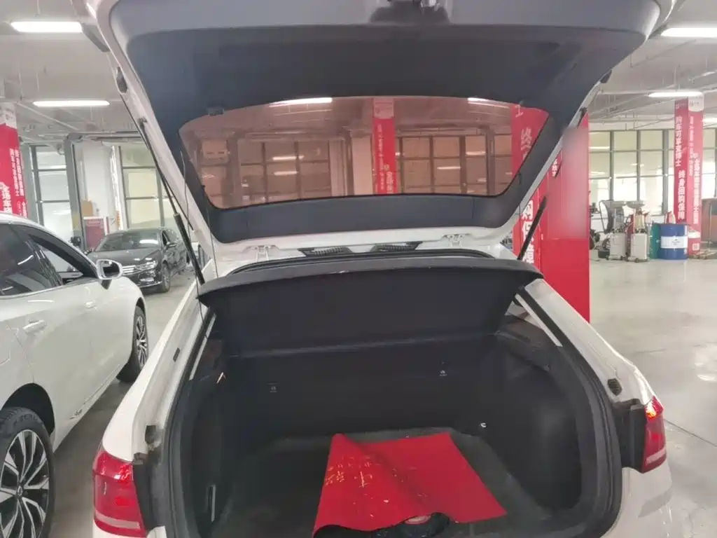 Volkswagen Gran Lavida — миниатюра 19