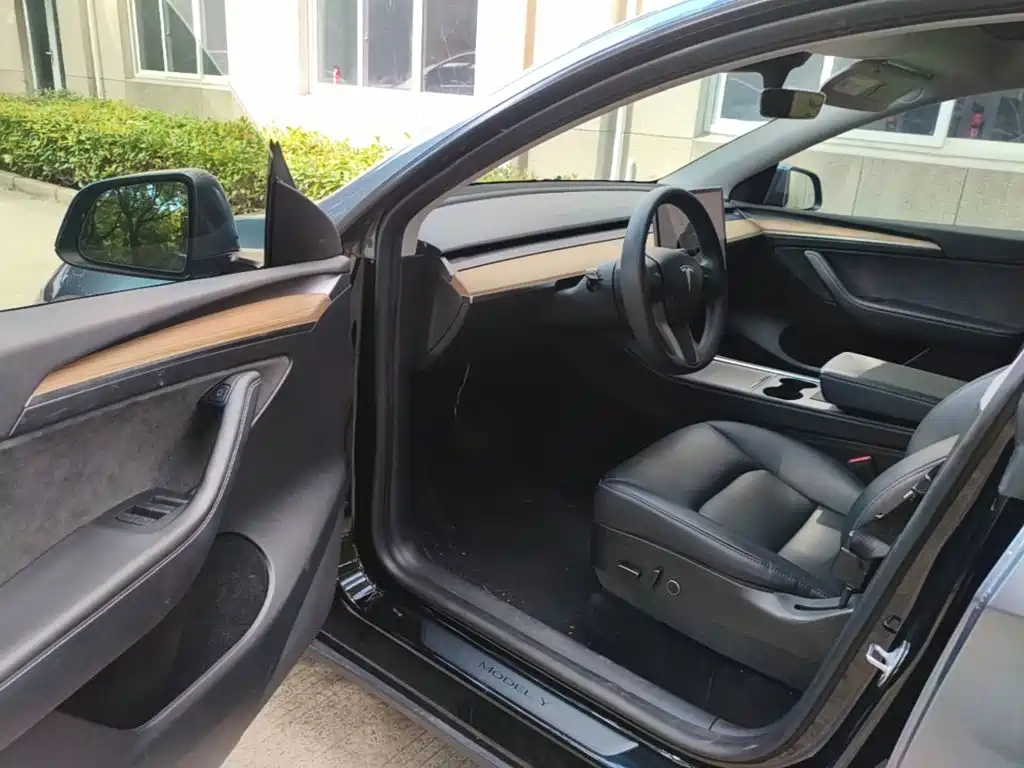 Tesla Model Y — миниатюра 16