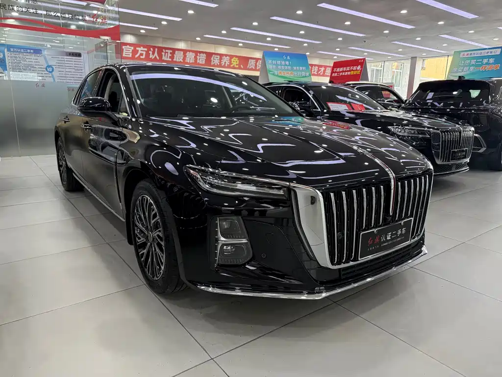 Hongqi Hongqi H5 — миниатюра 3