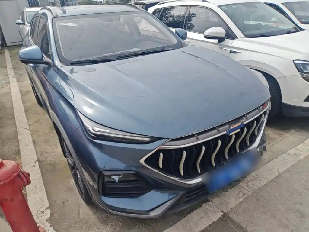 Oshan Oushang X5 — миниатюра 4