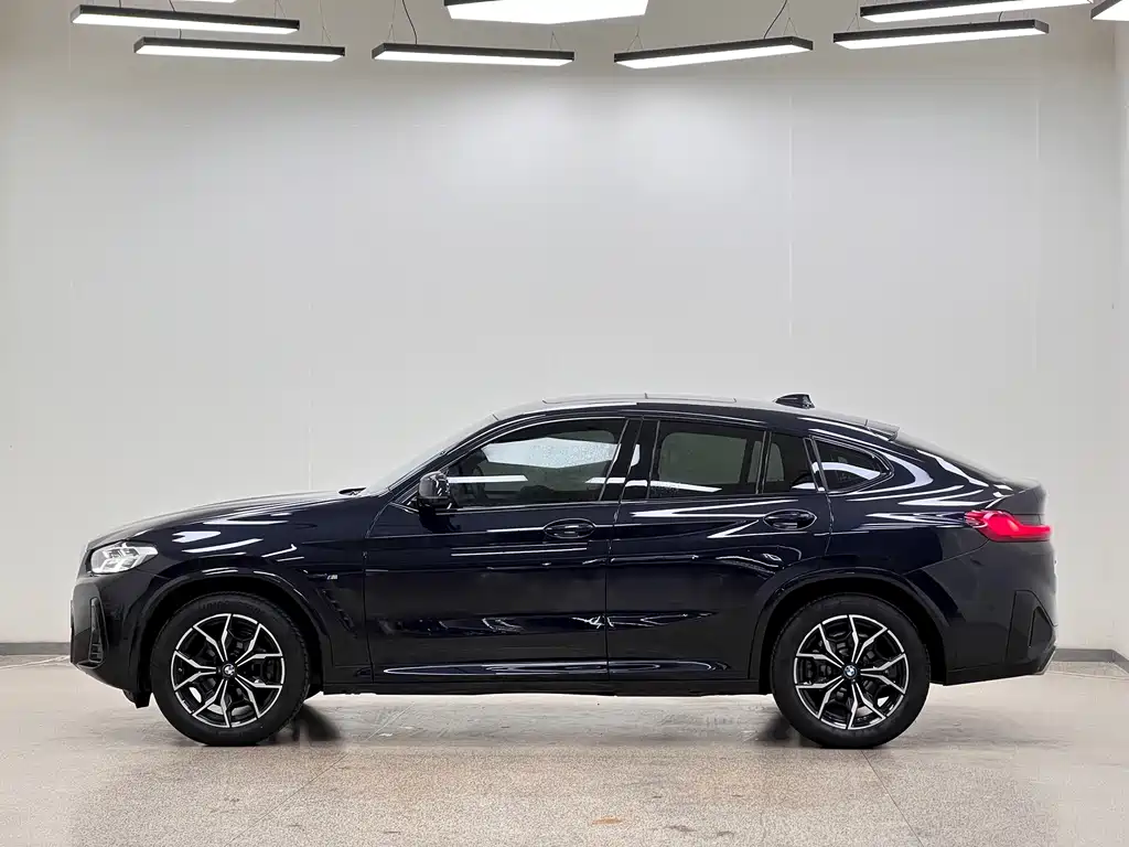 BMW X4 — миниатюра 4