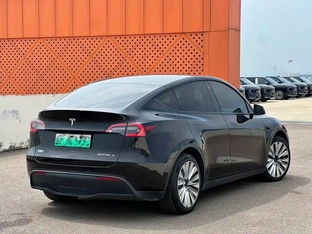 Tesla Model Y — миниатюра 4