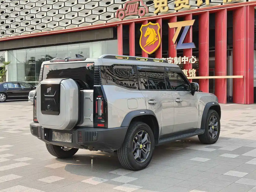 Shanhai Краткосрочный путешественник C-DM — миниатюра 13