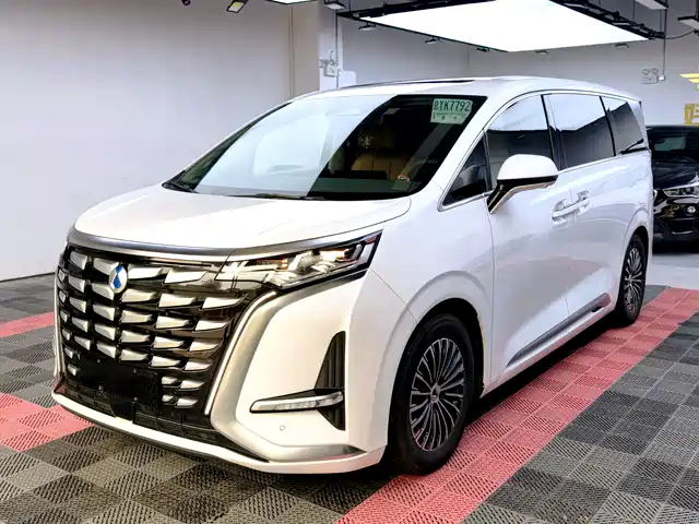 2023 Denza D9