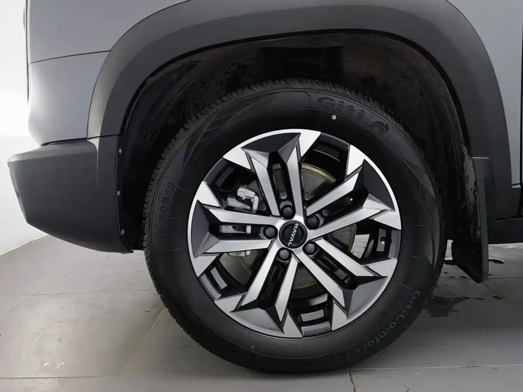 Haval Big Dog — миниатюра 17