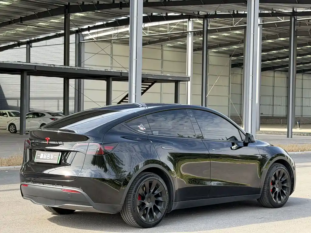 Tesla Model Y — миниатюра 8
