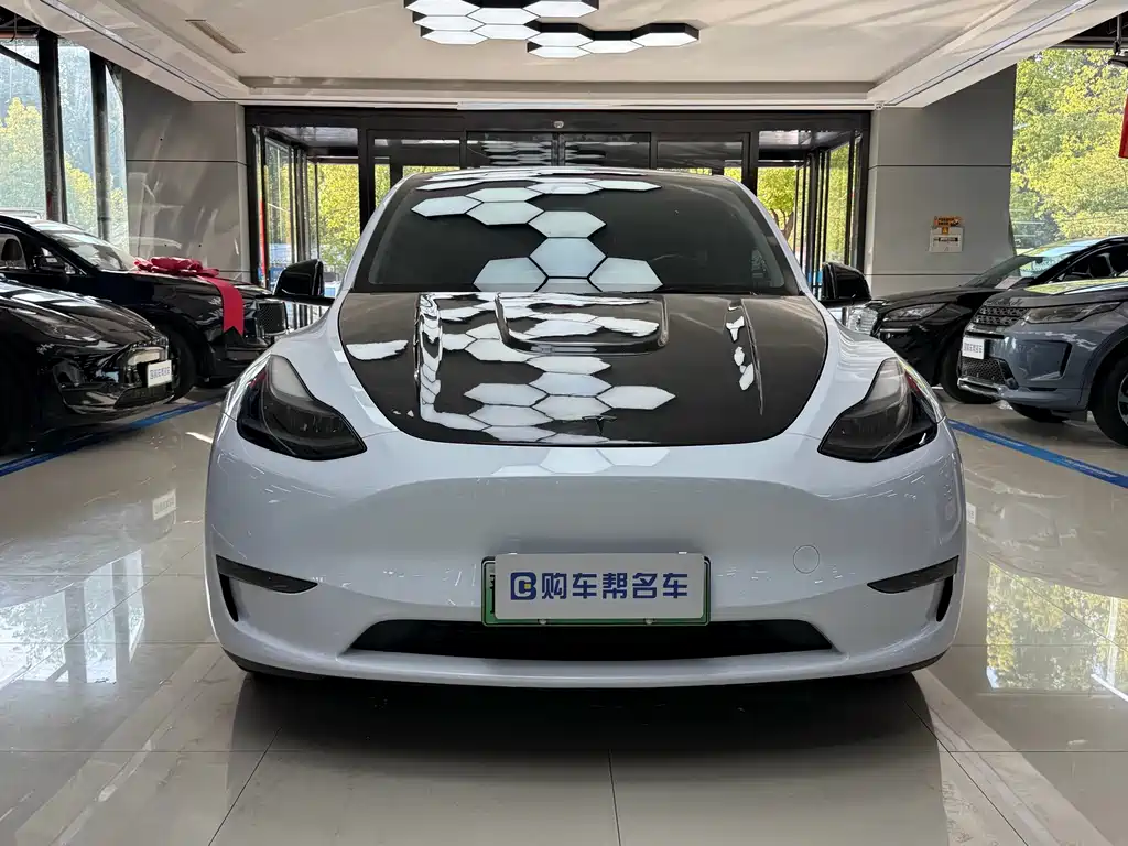 Tesla Model Y — миниатюра 2