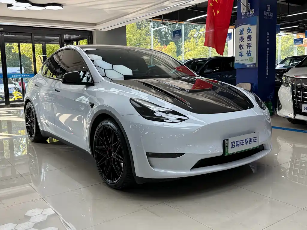 Tesla Model Y — миниатюра 3