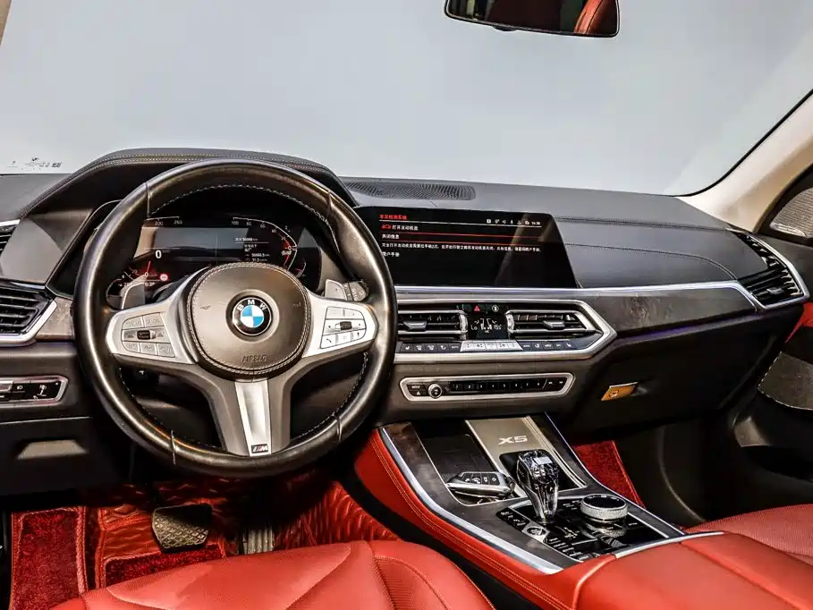 BMW X5 — миниатюра 24