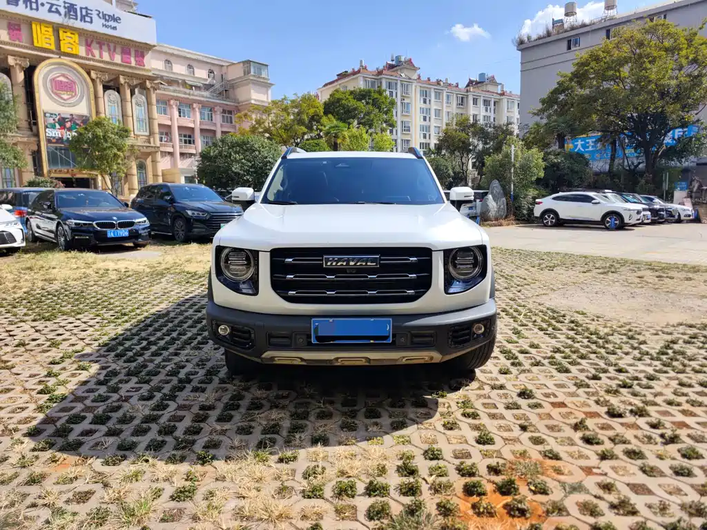 Haval Big Dog — миниатюра 2