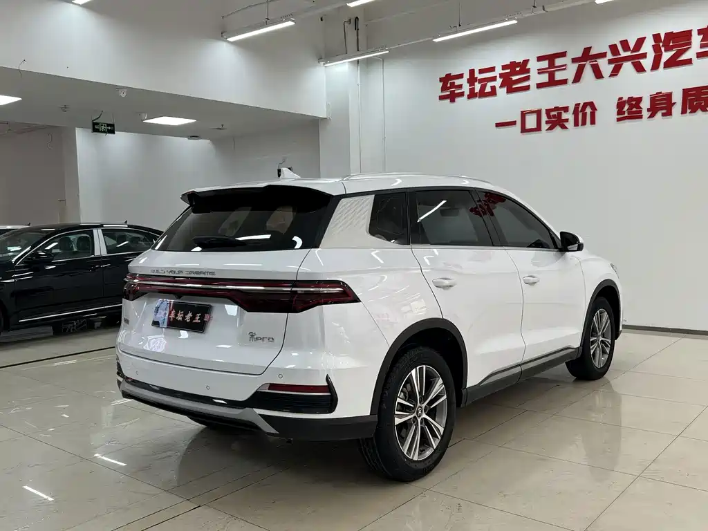BYD Pro — миниатюра 13