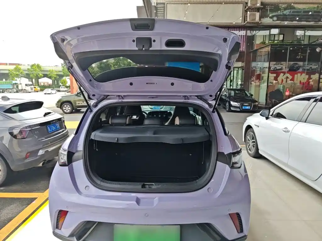 BYD Dolphin — миниатюра 19