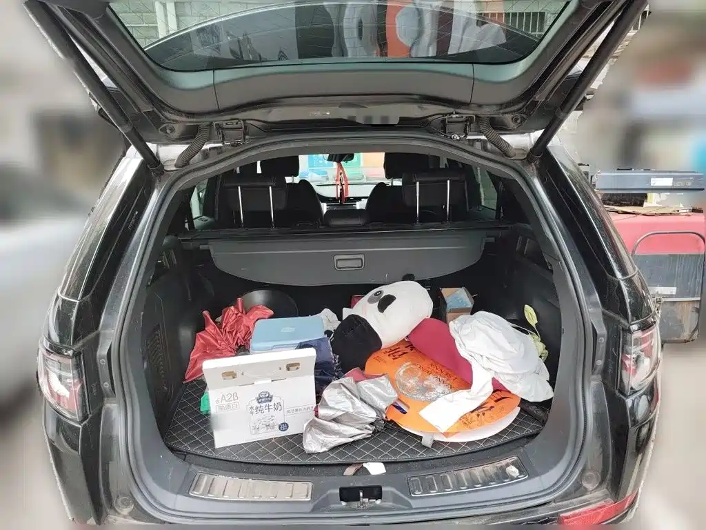 Land Rover Discovery Sport — миниатюра 20