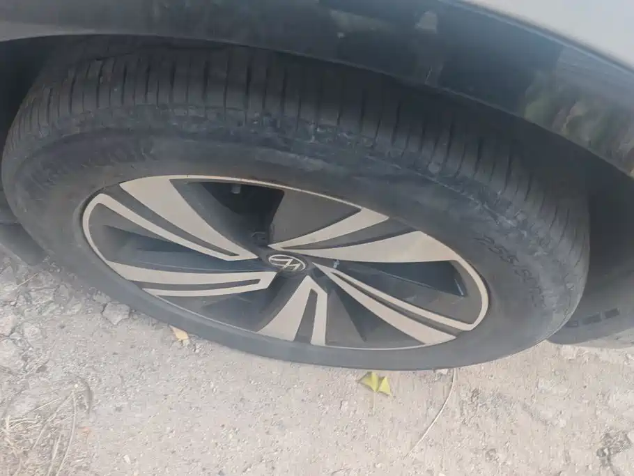 Volkswagen Tavendor — миниатюра 6