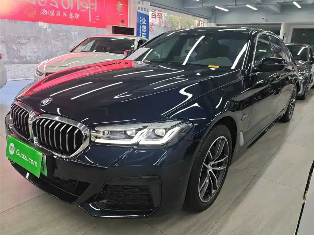 BMW  5 SERIES NEW ENERGY