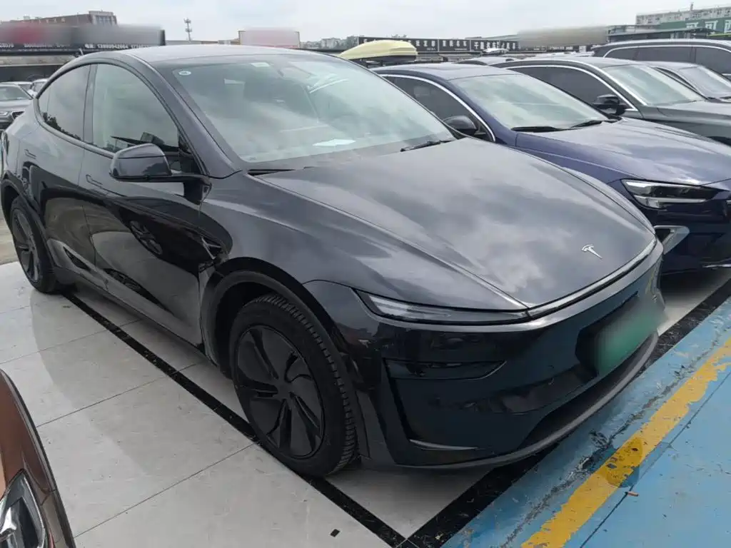 Tesla Model Y — миниатюра 4