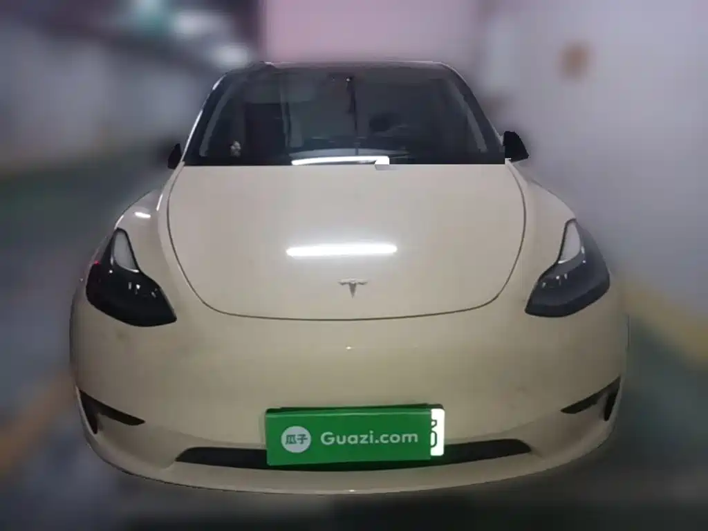 Tesla Model Y — миниатюра 23
